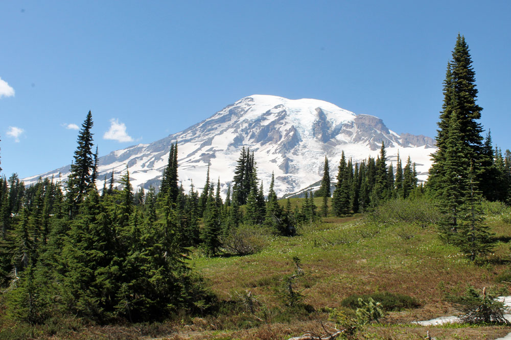 rainier_0612.jpg