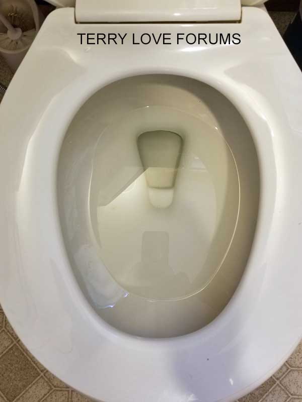 toilet-bowl-level-low-02.jpg