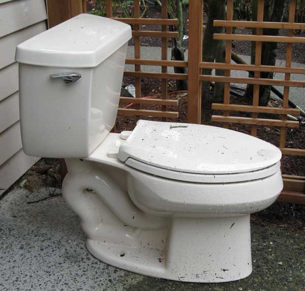 Kohler toilets, Class 5 or Ingenium | Terry Love Plumbing & Remodel DIY
