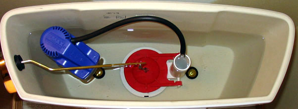 Kohler toilets, Class 5 or Ingenium | Terry Love Plumbing & Remodel DIY